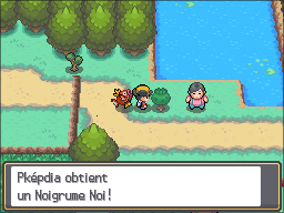 Route 31 Noigrume Noir HGSS.png