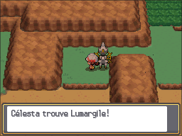 Route 9 Lumargile HGSS.png