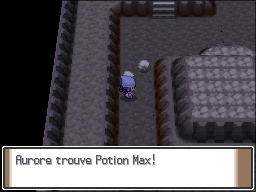 Île de Fer Potion Max Pt.png