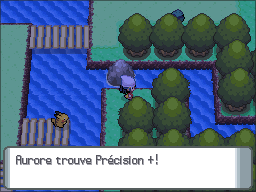 Route 209 Précision + DP.png
