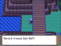 Fichier:Route 205 Soin Ball Pt.png