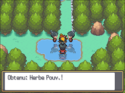 Route 34 Herbe Pouvoir HGSS.png