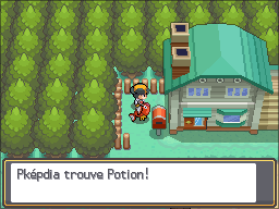 Bourg Geon Potion Cachée HGSS.png