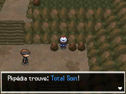 Route Victoire Total Soin 2 NB.png