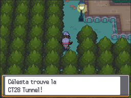 Parc Naturel CT28 HGSS.png