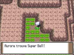 Route 211 Super Ball Pt.png