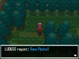 Forêt d'Empoigne Baie Pêcha 1 NB.png