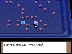 Temple Frimapic Total Soin Pt.png