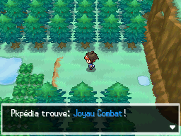 Fichier:Forêt d'Empoigne Joyau Combat N2B2.png