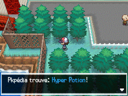Route 5 Hyper Potion NB.png