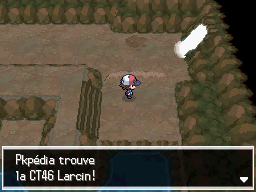 Veine Souterraine CT46 NB.png