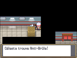 Doublonville Anti-Brûle HGSS.png