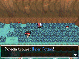 Route 10 Hyper Potion NB.png