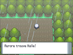 Route 212 Huile DP.png