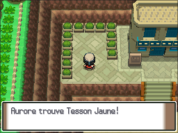 Route 213 Tesson Jaune Pt.png