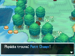 Fichier:Tourbière Flocombe Petit Champi N2B2.png