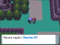 Route 207 Cherche VS DP.png