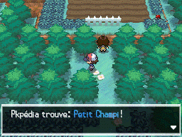 Autel Abondance Petit Champi 2 NB.png