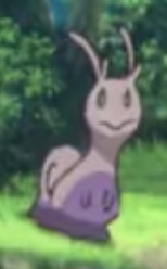 Colimucus sauvage - Film 23.png