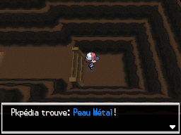 Mont Foré Peau Métal NB.png