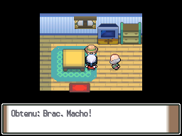 Verchamps Brac. Macho Pt.png