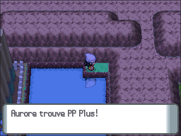 Vestigion PP Plus DP.png