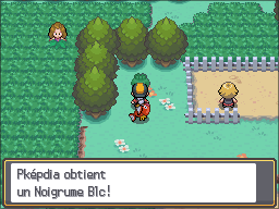 Route 38 Noigrume Blanc HGSS.png