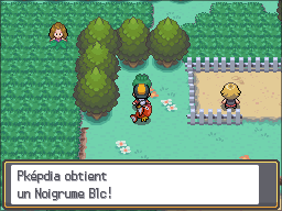 Fichier:Route 38 Noigrume Blanc HGSS.png