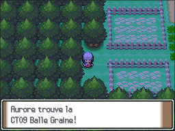 Route 204 CT09 Pt.png