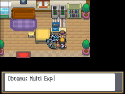 Route 30 Multi Exp HGSS.png