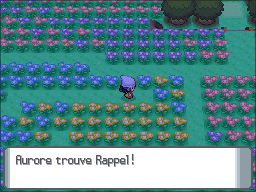 Pré Floraville Rappel 2 DP.png