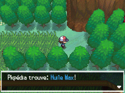 Route 7 Huile Max NB.png