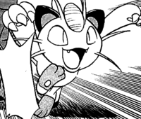 Miaous Siam-PMS.png