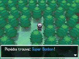 Route 16 Super Bonbon NB.png