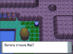 Route 205 Miel PT.png