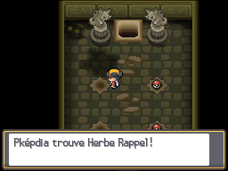 Ruines d'Alpha Herbe Rappel HGSS.png