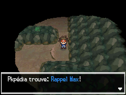 Fichier:Veine Souterraine Rappel Max 1 N2B2.png