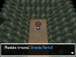 Chemin Enfoui Grande Perle N2B2.png