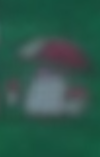 Gaulet de Dresseur - Film 23.png