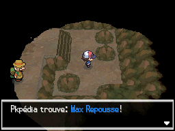 Grotte Parsemille Max Repousse NB.png