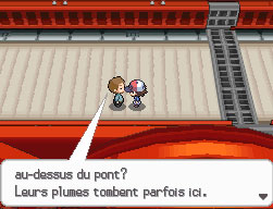 Pont Yoneuve Aile NB.png
