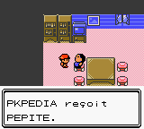 Route 2 Pépite OA.png
