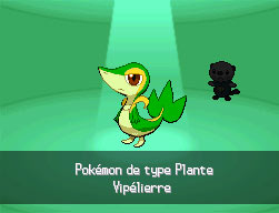 Choix Vipélierre NB.png
