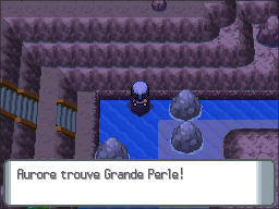 Route 224 Grande Perle DP.png