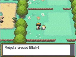Route 2 Elixir HGSS.png
