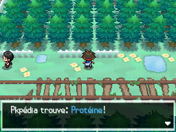 Fichier:Forêt d'Empoigne Protéine N2B2.png