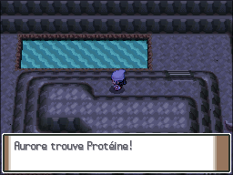 Mont Couronné Protéine Pt.png