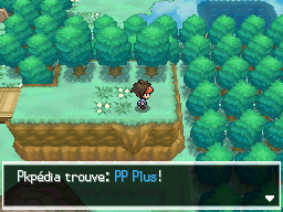 Fichier:Flocombe PP Plus N2B2.png