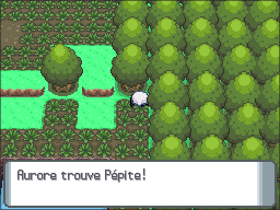 Grand Marais Pépite DP.png
