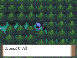 Route 204 CT78 Pt.png